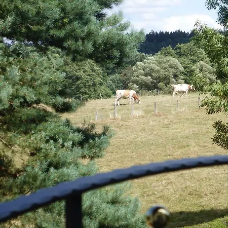 Am Groelisbach בית נופש *